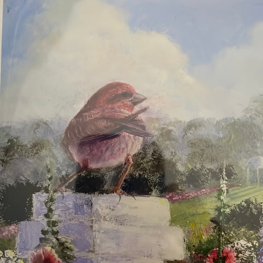 GC Finch and Hollyhocks