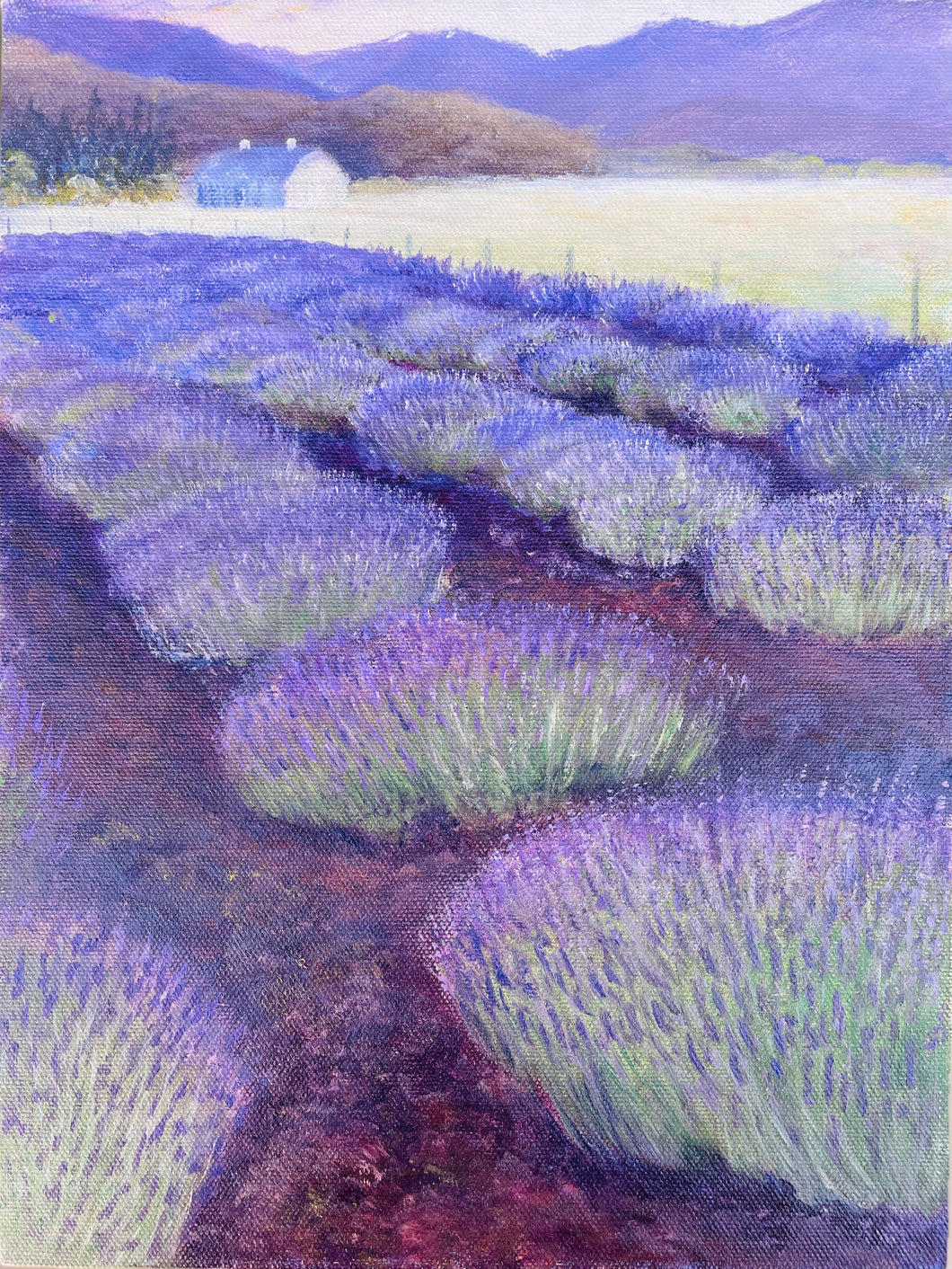 Original Margie’s Lavender Farm