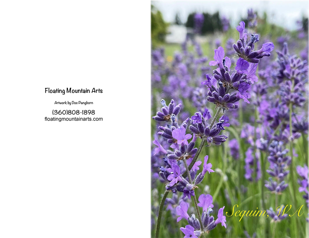 GC Lavender Flowers